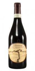 Amarone della Valpolicella Classico 2008 Terre di Leone photo