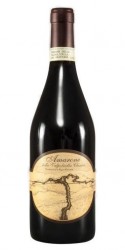 Amarone della Valpolicella Classico 2009 Terre di Leone photo