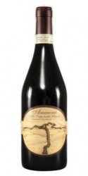 Amarone della Valpolicella Classico 2010 Terre di Leone photo