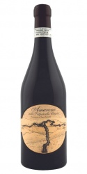 Amarone della Valpolicella Classico 2012 Terre di Leone photo