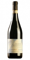 Amarone della Valpolicella Moropio 2019 Antolini photo