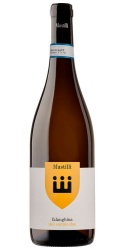 Falanghina del Sannio 2023 Mustilli photo