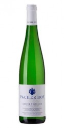 Gruner Veltliner 2021 Pacherhof photo