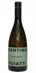 Pinot Grigio 2021 Cantina Puiatti photo