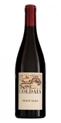 Pinot Nero Vigneto di Coldaia 2017 Podere Fortuna photo