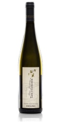 Riesling 2019 Taschlerhof photo