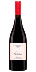 Saumur Les Arboises Monopole Brézé 2021 Domaine Guiberteau photo