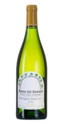 Sauvignon Lozeta 2019 Ronco del Gnemiz photo