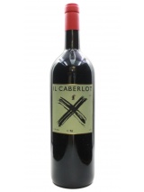 Caberlot Magnum 2001 Magnum Podere il Carnasciale photo