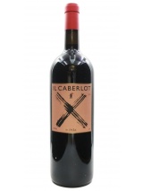 Caberlot Magnum 2007 Magnum Podere il Carnasciale photo