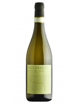 Greco di Tufo 2022 Vadiaperti photo