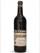 Nebbiolo d'Alba Pio Cesare photo