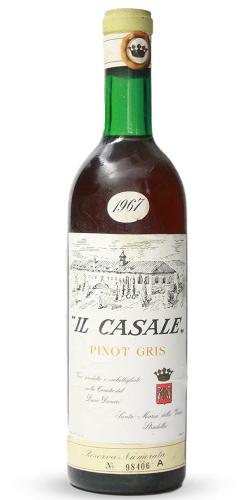 Pinot Gris 1967 picture