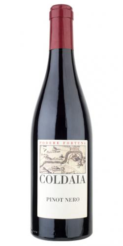 Pinot Nero Vigna di Coldaia 2015 picture