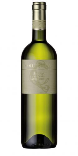 Verdicchio di Matelica 2018 picture